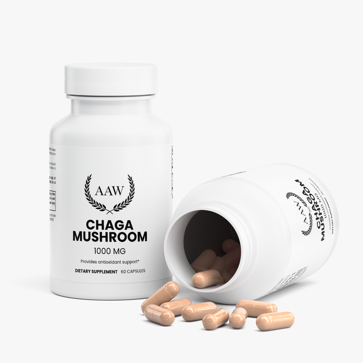 Chaga Mushroom
